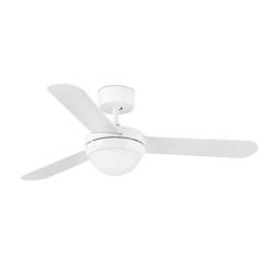 Fan with light and reversible blades
