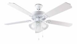 Ceiling fan with white light