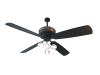 Anthracite ceiling fan
