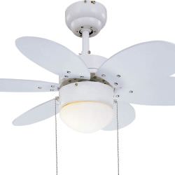 Fan With 6 Twocoloured Blades