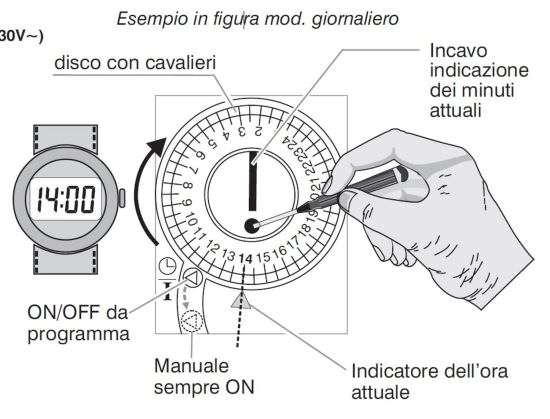 Perry  Perry Daily Time Switch is a product on offer at the best price