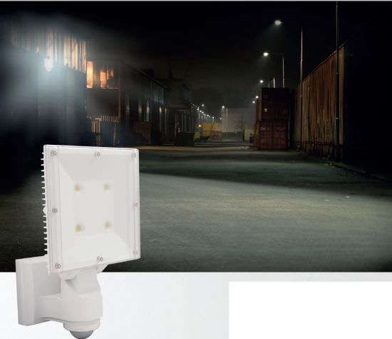 Perry  Rilevatore Di Movimento Con Faro a Led  un prodotto in offerta al miglior prezzo online