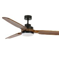 Ceiling fans with light