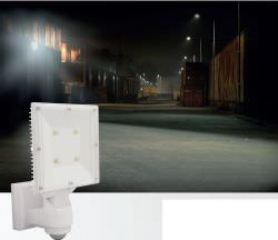 Motion Detector With Led Headlight