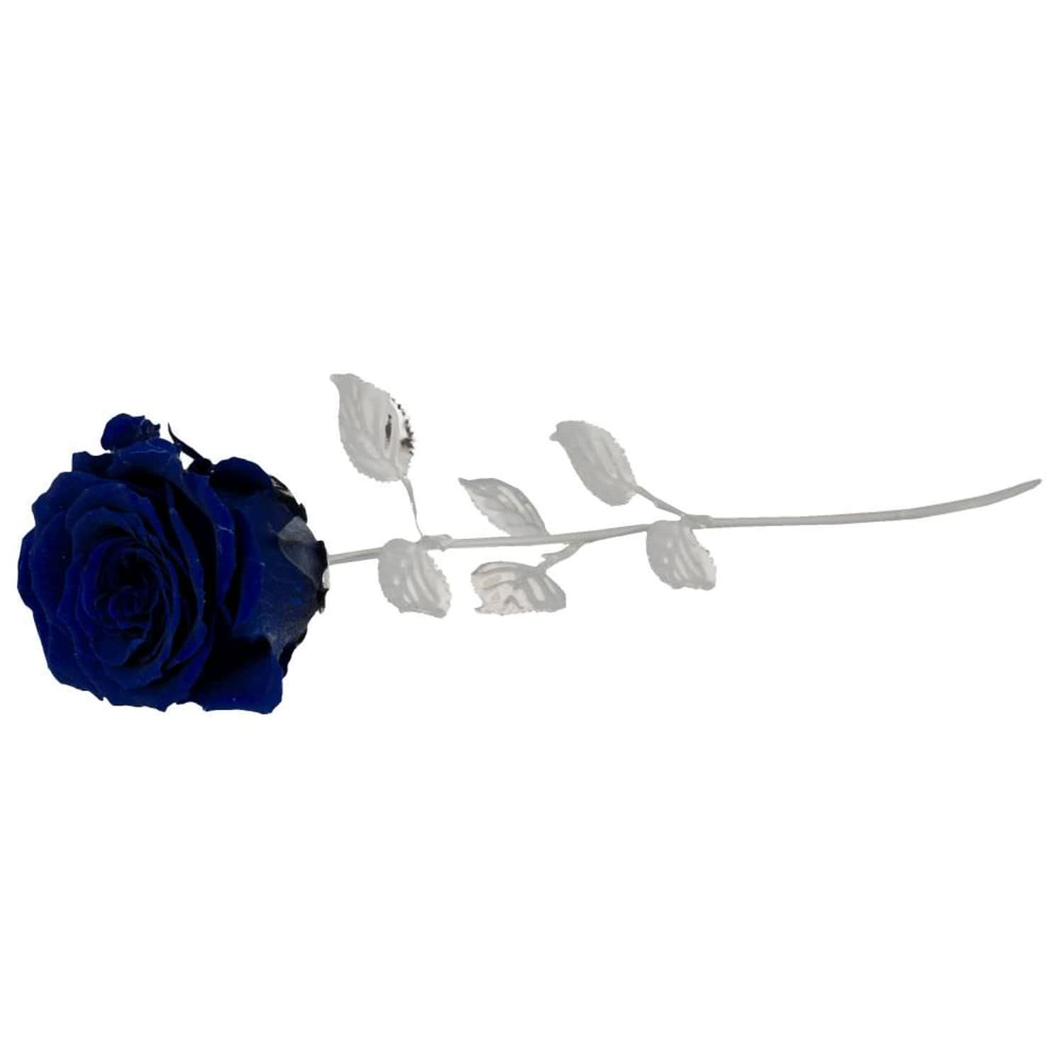 Stabilisierte Blaue Rose 30 Cm Lang 